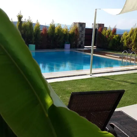 Reisdere فيلة *